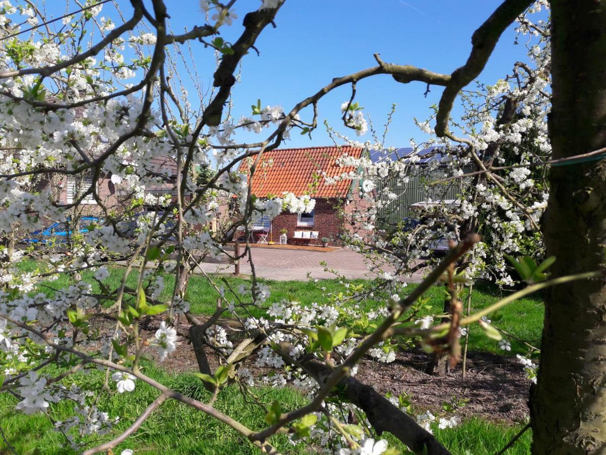 Gemuetliches Haeuschen Im Alten Land Jork Eksteriør bilde